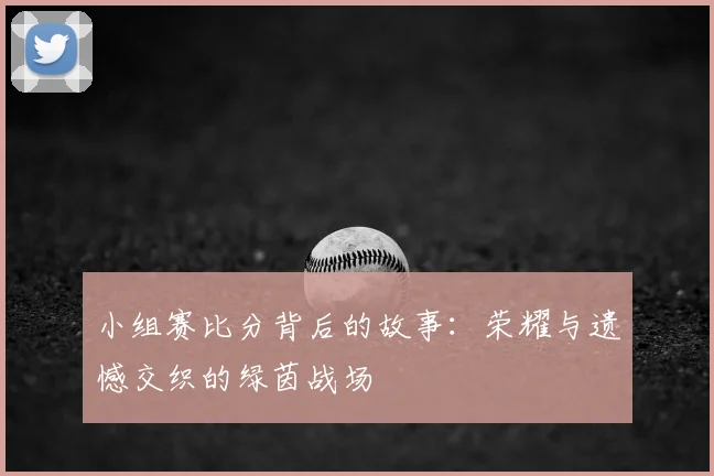 小组赛比分背后的故事:荣耀与遗憾交织的绿茵战场
