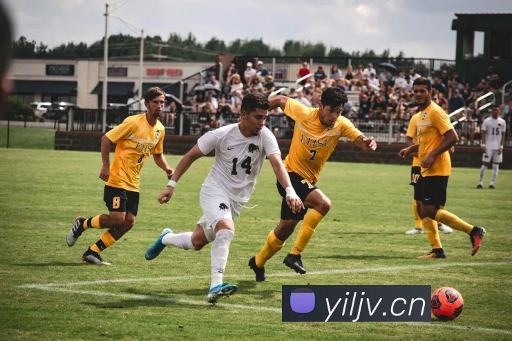 App Interface Preview